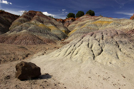 Photo of Chinle formation